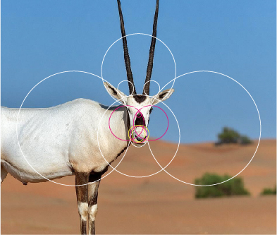 4 SUNORYX 