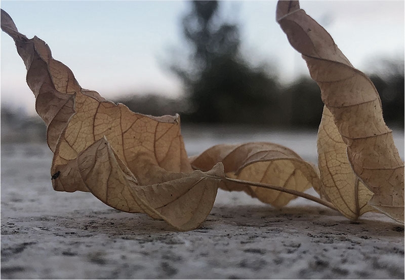 About Foolproof Design